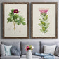 Set of two walnut barnwood framed canvas prints depicting paired vintage botanical plate illustrations with peonies thistles leafy stems and archival cream paper above a sofa in a contemporary living room.