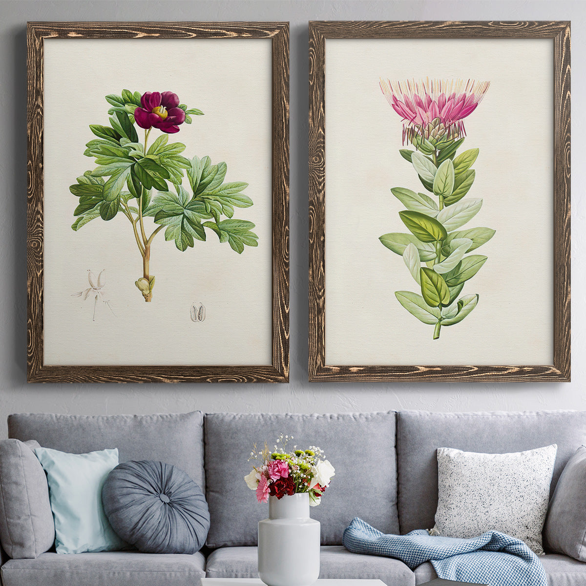 Set of two walnut barnwood framed canvas prints depicting paired vintage botanical plate illustrations with peonies thistles leafy stems and archival cream paper above a sofa in a contemporary living room.