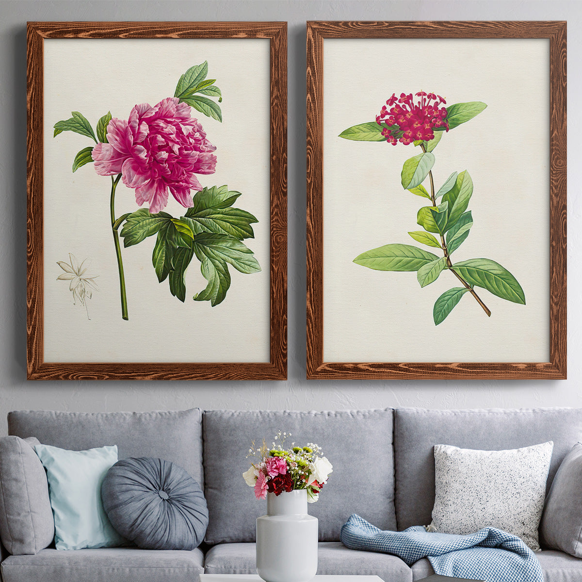 Set of two maple barnwood framed canvas prints depicting paired vintage botanical plate illustrations with peonies thistles leafy stems and archival cream paper above a sofa in a contemporary living room.
