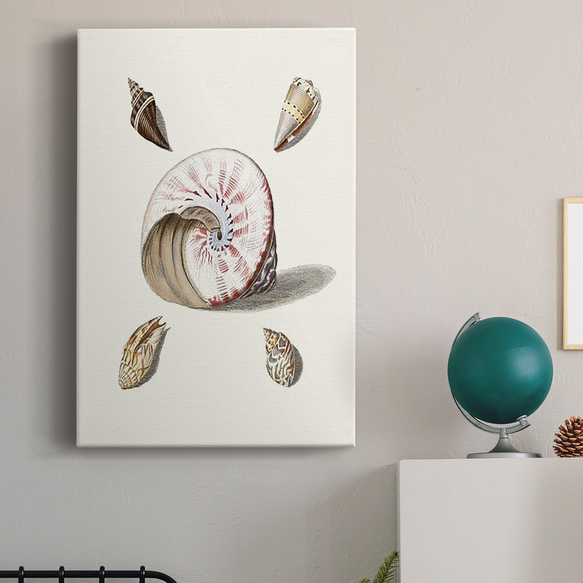 Pastel Knorr Shells II - Canvas Art Print