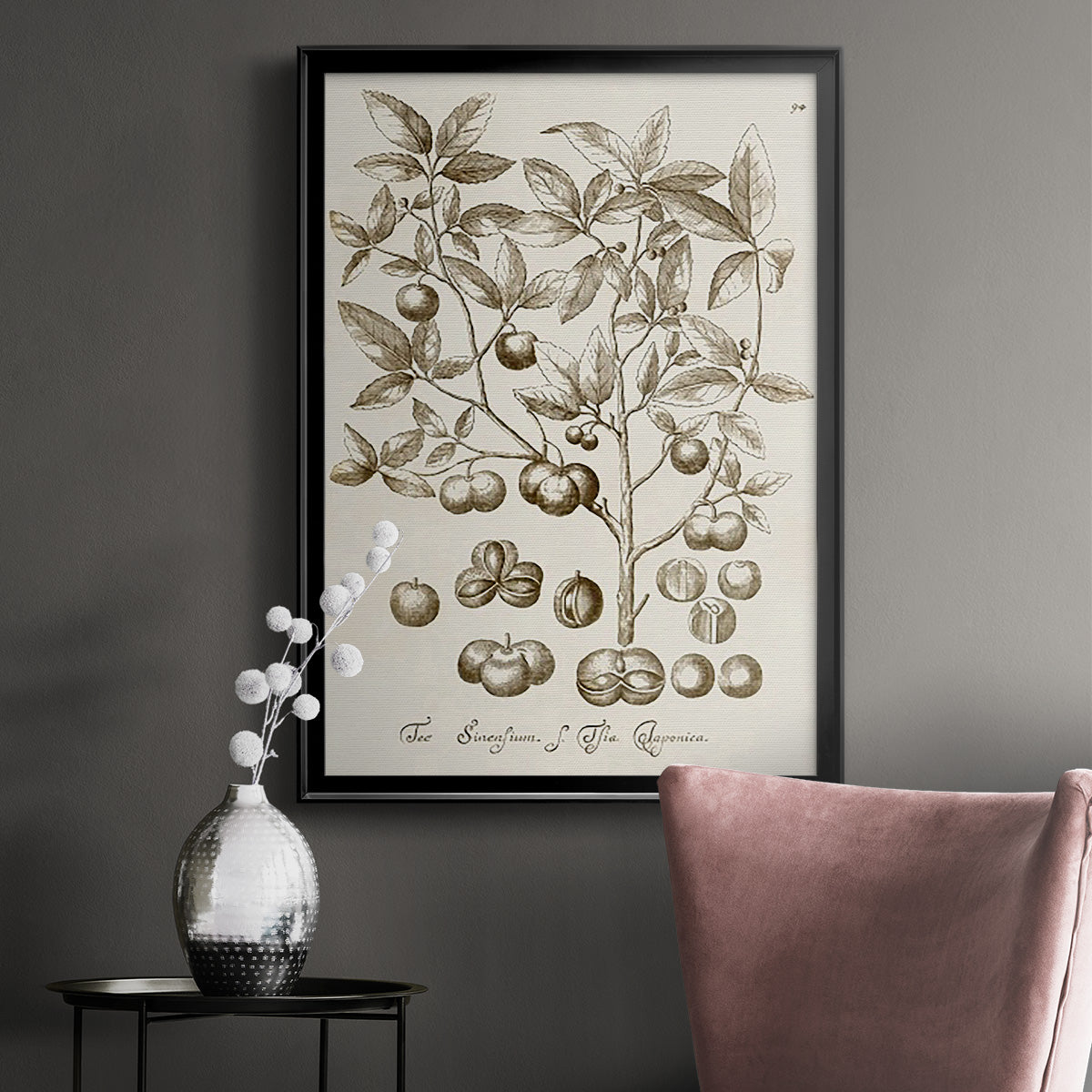 Sepia Botanical Journal II - Modern Framed Canvas Print