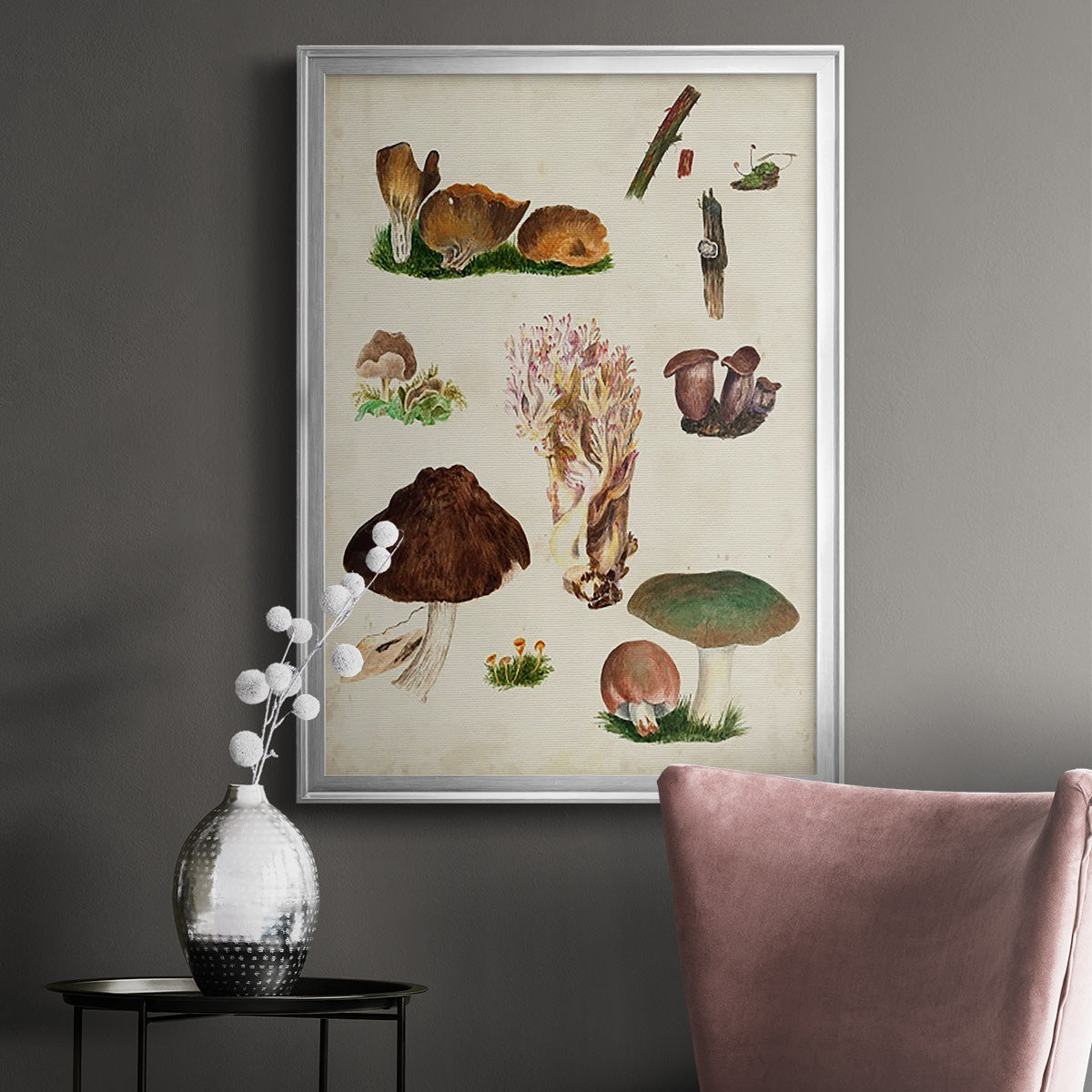 Mushroom Species IX - Modern Framed Canvas Print