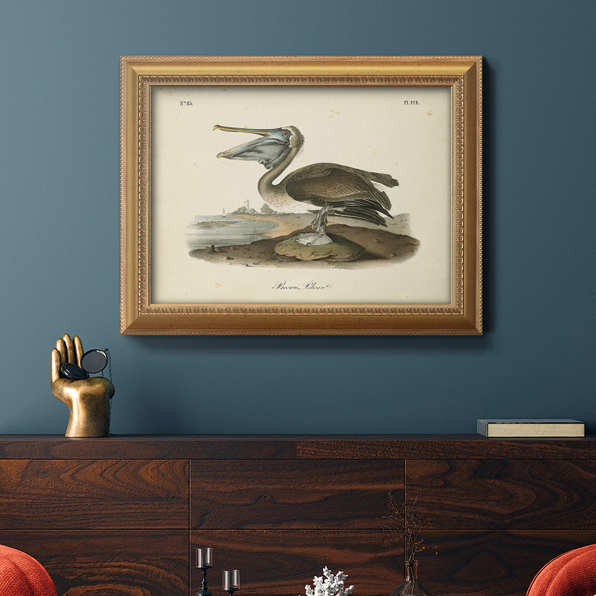 Audubons Brown Pelican - Ornate Framed Canvas Print