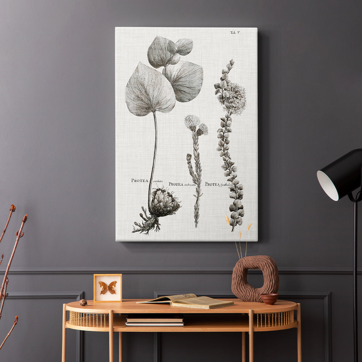 Black & White Protea on Linen II - Canvas Art Print