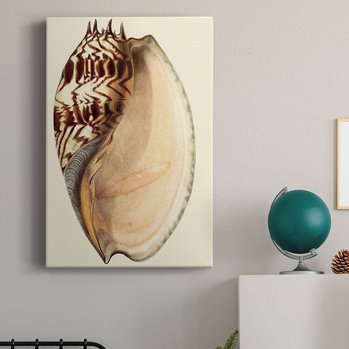 Splendid Shells II Premium Gallery Wrapped Canvas - Ready to Hang