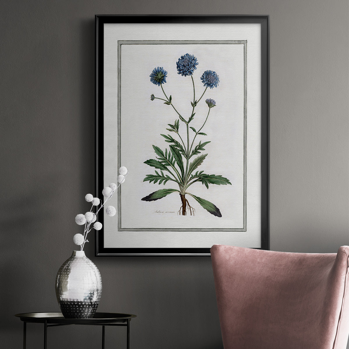 Soft Botanical II - Modern Framed Canvas Print