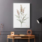 Dainty Botanical I - Canvas Art Print