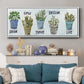 Potted Inspirations - Floater Framed Canvas Print