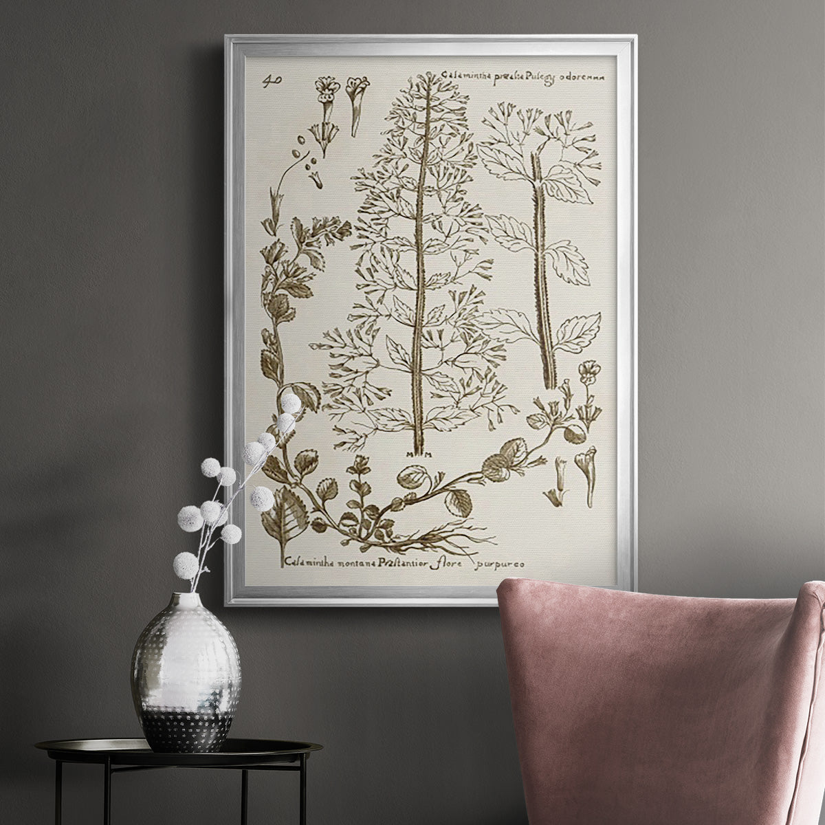 Sepia Botanical Journal V - Modern Framed Canvas Print