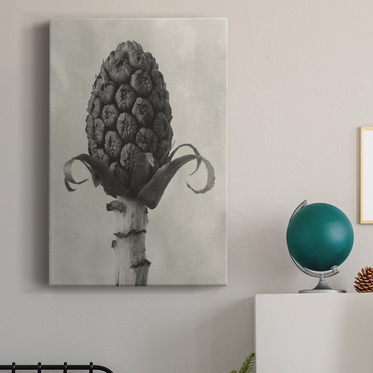 Blossfeldt Botanical IV Premium Gallery Wrapped Canvas - Ready to Hang