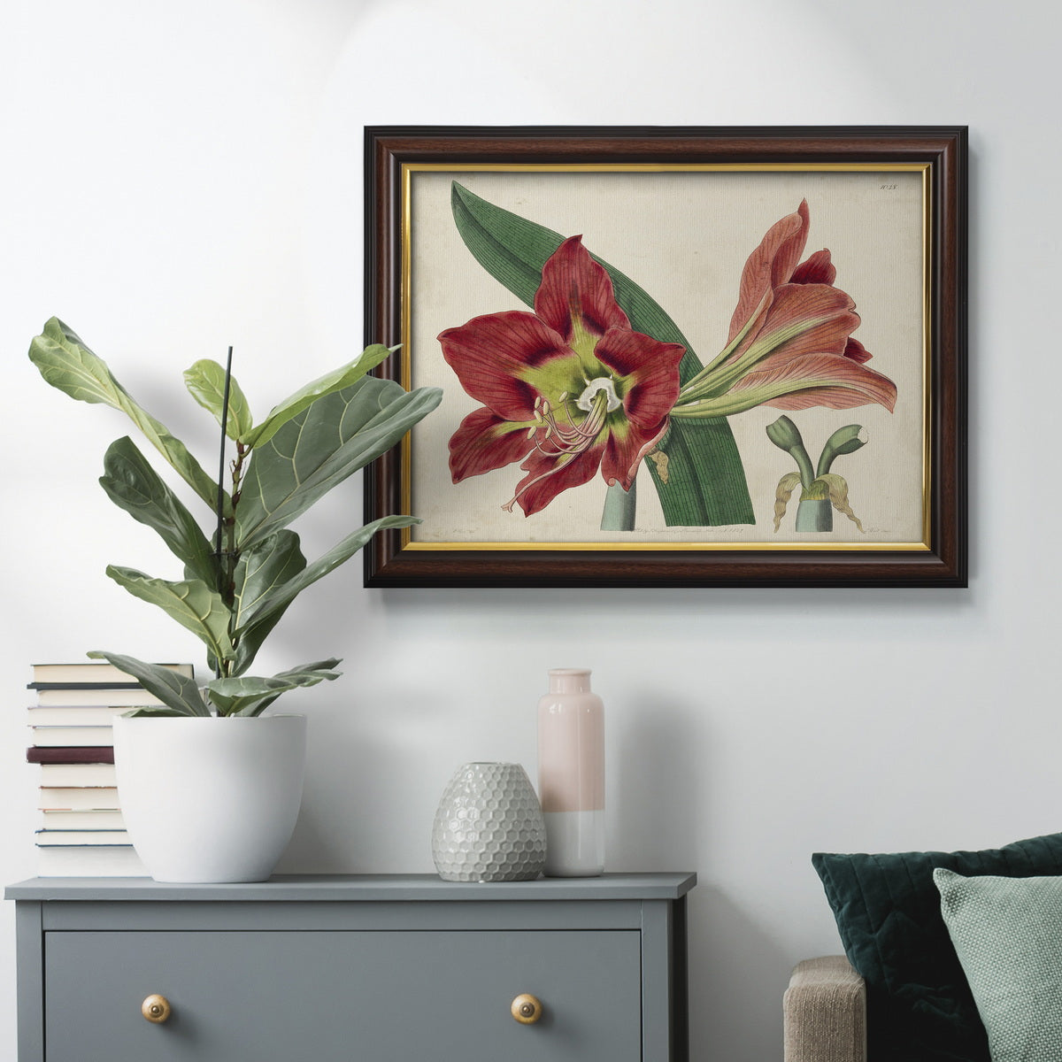 Amaryllis Splendor I Premium Framed Canvas- Ready to Hang