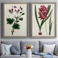 Set of two gray barnwood framed canvas prints depicting paired antique botanical plate illustrations with detailed blossoms, leaves, roots, and archival cream grounds above a sofa in a contemporary living room.