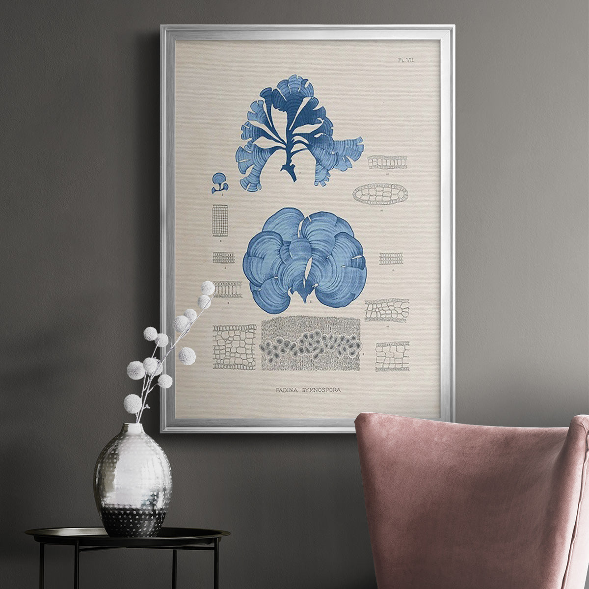 Blue Marine Algae IV -  Framed Canvas Print