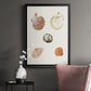 Pastel Knorr Shells VIII - Modern Framed Canvas Print