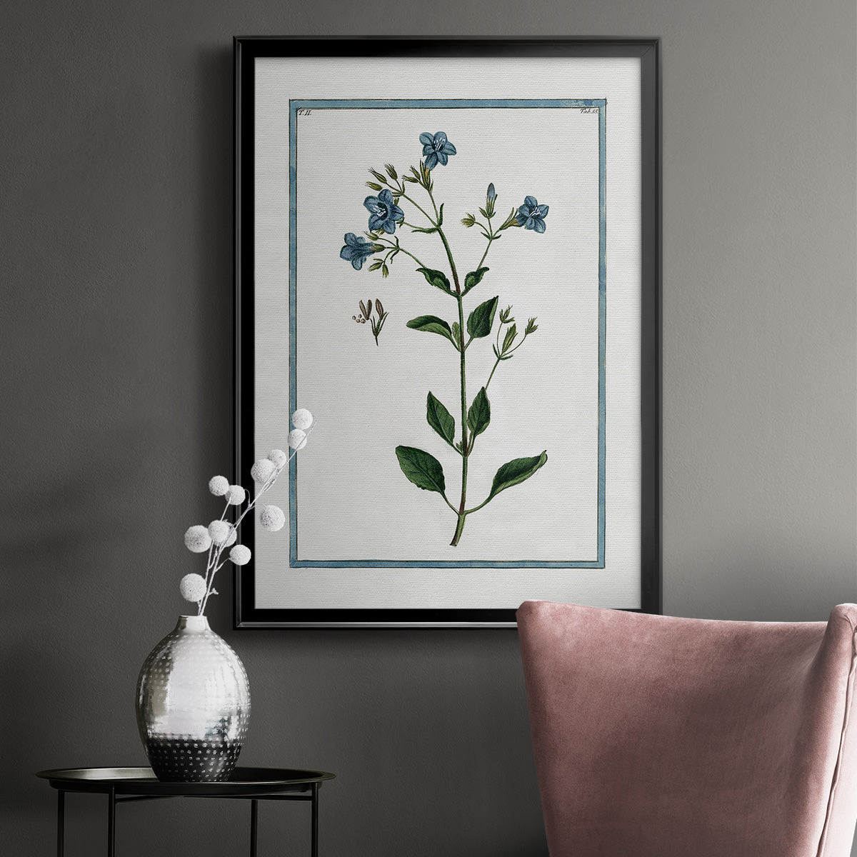 Shabby Chic Botanical II - Modern Framed Canvas Print