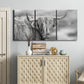 Three-panel canvas wall art featuring large highland cow portrait, displayed above a cabinet in an entryway.