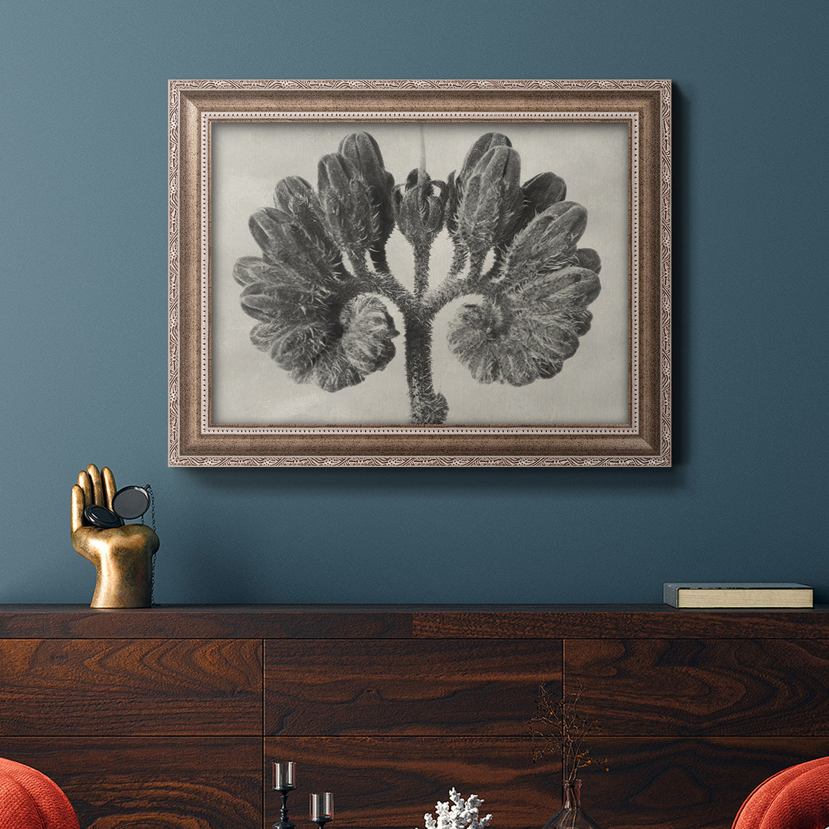 Blossfeldt Botanical VIII Premium Framed Canvas- Ready to Hang