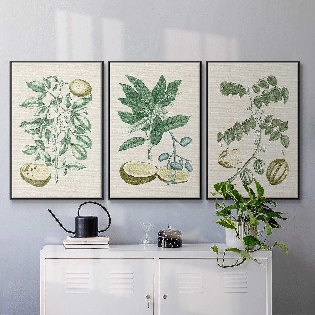 Buchoz Tropicals II - Floater Framed Canvas Set