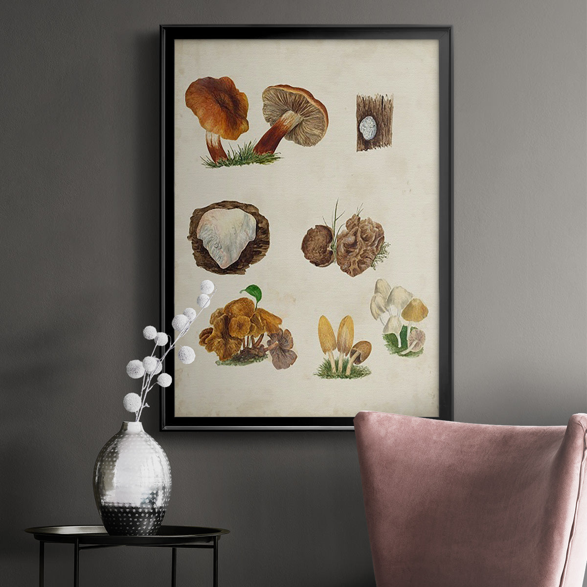 Mushroom Species I - Modern Framed Canvas Print