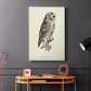 French Owls III - Canvas Art Print