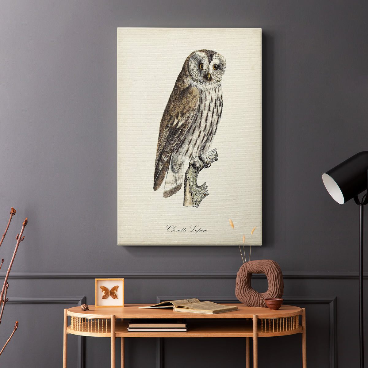 French Owls III - Canvas Art Print