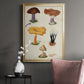 Mushroom Species VII - Modern Framed Canvas Print