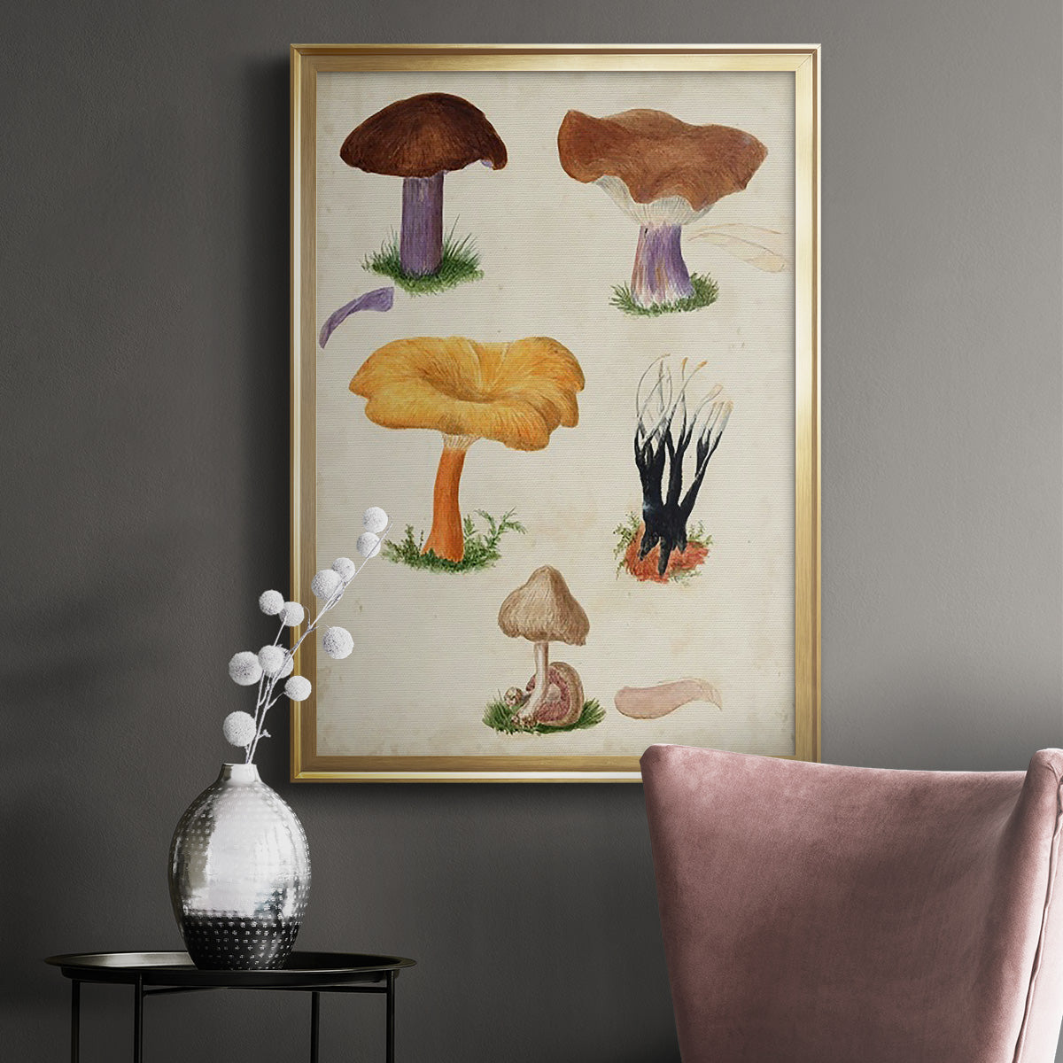 Mushroom Species VII - Modern Framed Canvas Print