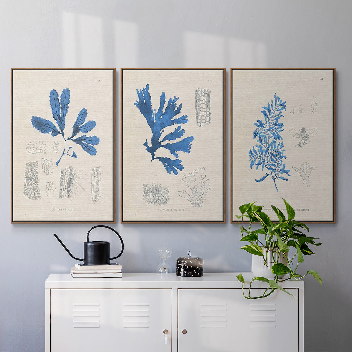 Blue Marine Algae VI - Framed Premium Gallery Wrapped Canvas L Frame 3 Piece Set - Ready to Hang