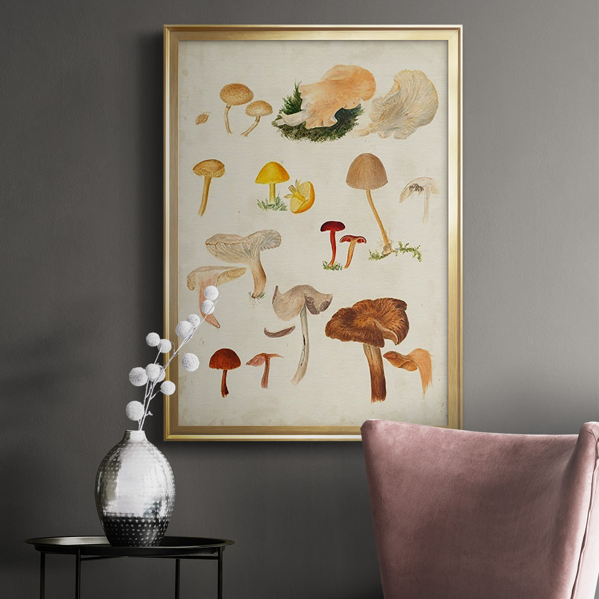 Mushroom Species XII - Modern Framed Canvas Print