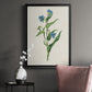 Flowers of the Seasons V - Modern Framed Canvas Print