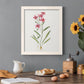 Delicate Pink II - Premium Canvas Framed in Barnwood - Ready to Hang