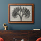 Vintage botanical plant study photograph by Karl Blossfeldt in an ornate vintage burl wood frame displayed in a dark-toned interior setting.