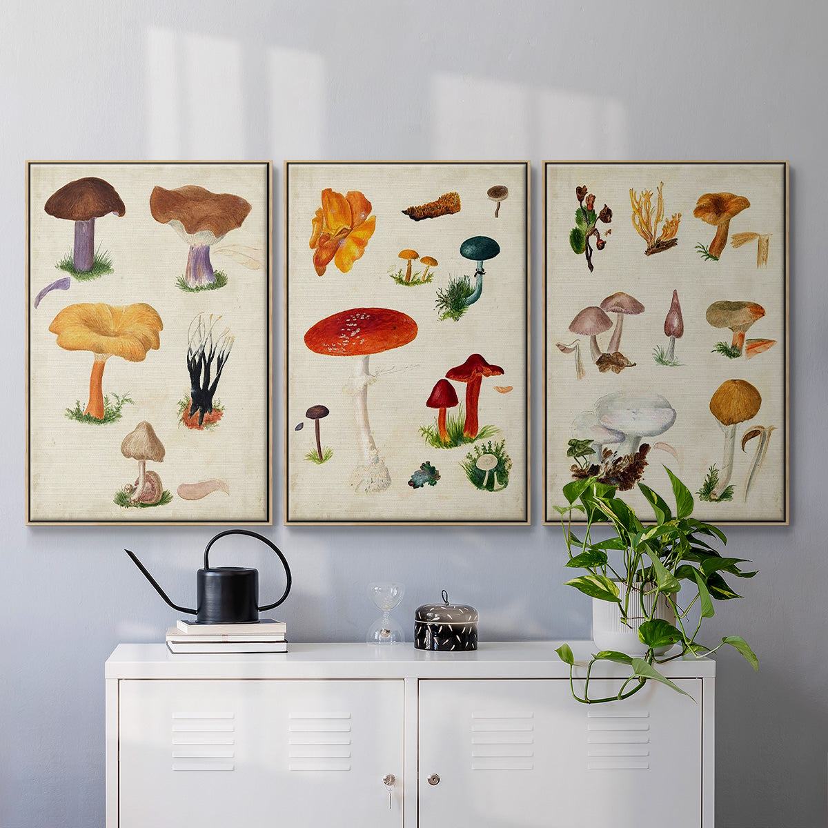 Mushroom Species IV - Framed Premium Gallery Wrapped Canvas L Frame 3 Piece Set - Ready to Hang