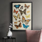 Collected Flutter II - Modern Framed Canvas Print