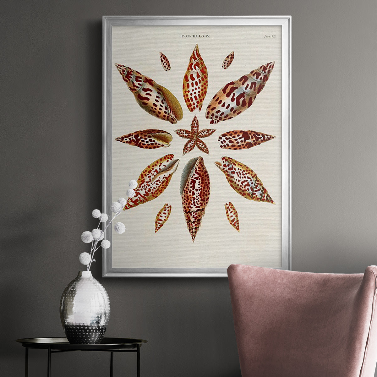 Spiral Shell Formation I - Modern Framed Canvas Print