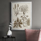 Sepia Botanical Journal VII - Modern Framed Canvas Print
