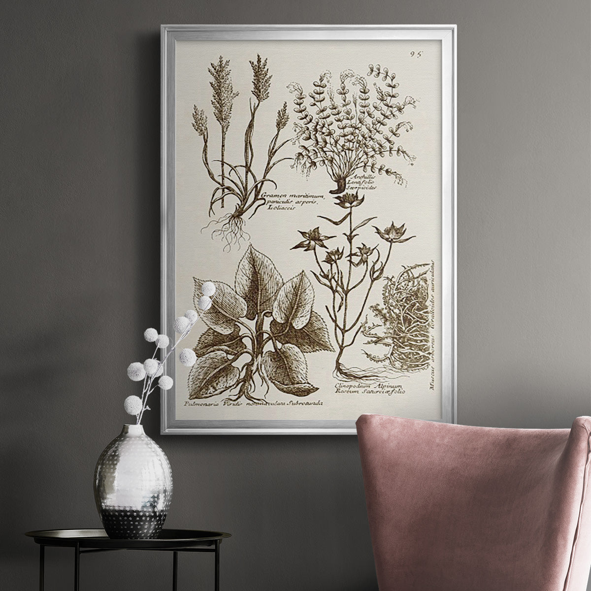 Sepia Botanical Journal VII - Modern Framed Canvas Print