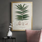 Botanical Society Ferns XII - Modern Framed Canvas Print