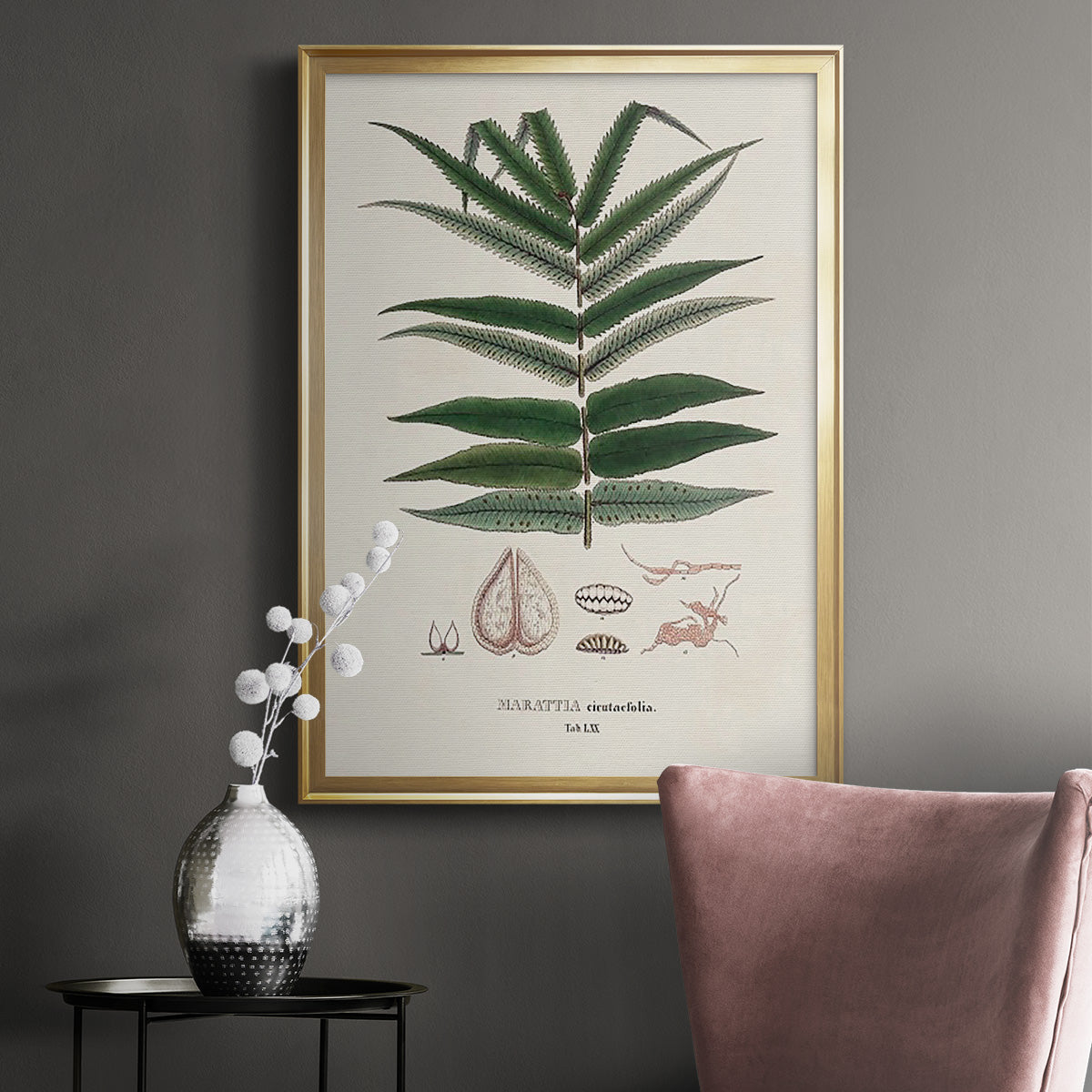 Botanical Society Ferns XII - Modern Framed Canvas Print