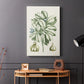 Buchoz Tropicals IX - Canvas Art Print
