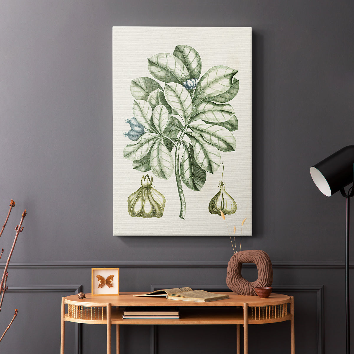 Buchoz Tropicals IX - Canvas Art Print