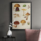Mushroom Species II - Modern Framed Canvas Print