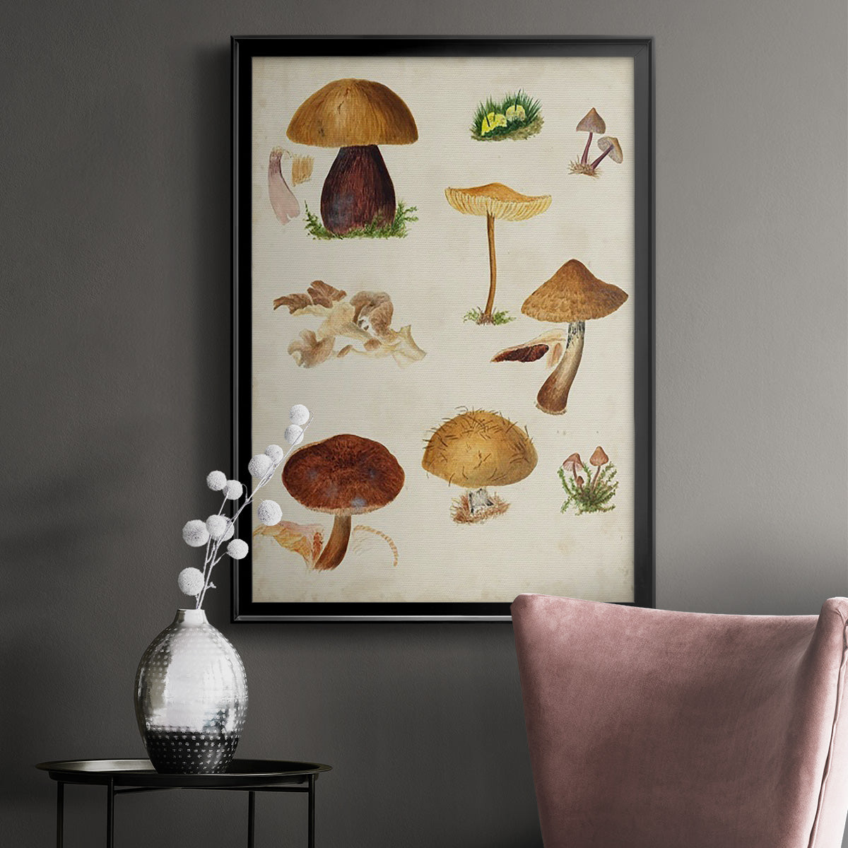 Mushroom Species II - Modern Framed Canvas Print
