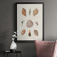 Knorr Shells & Coral VI - Modern Framed Canvas Print