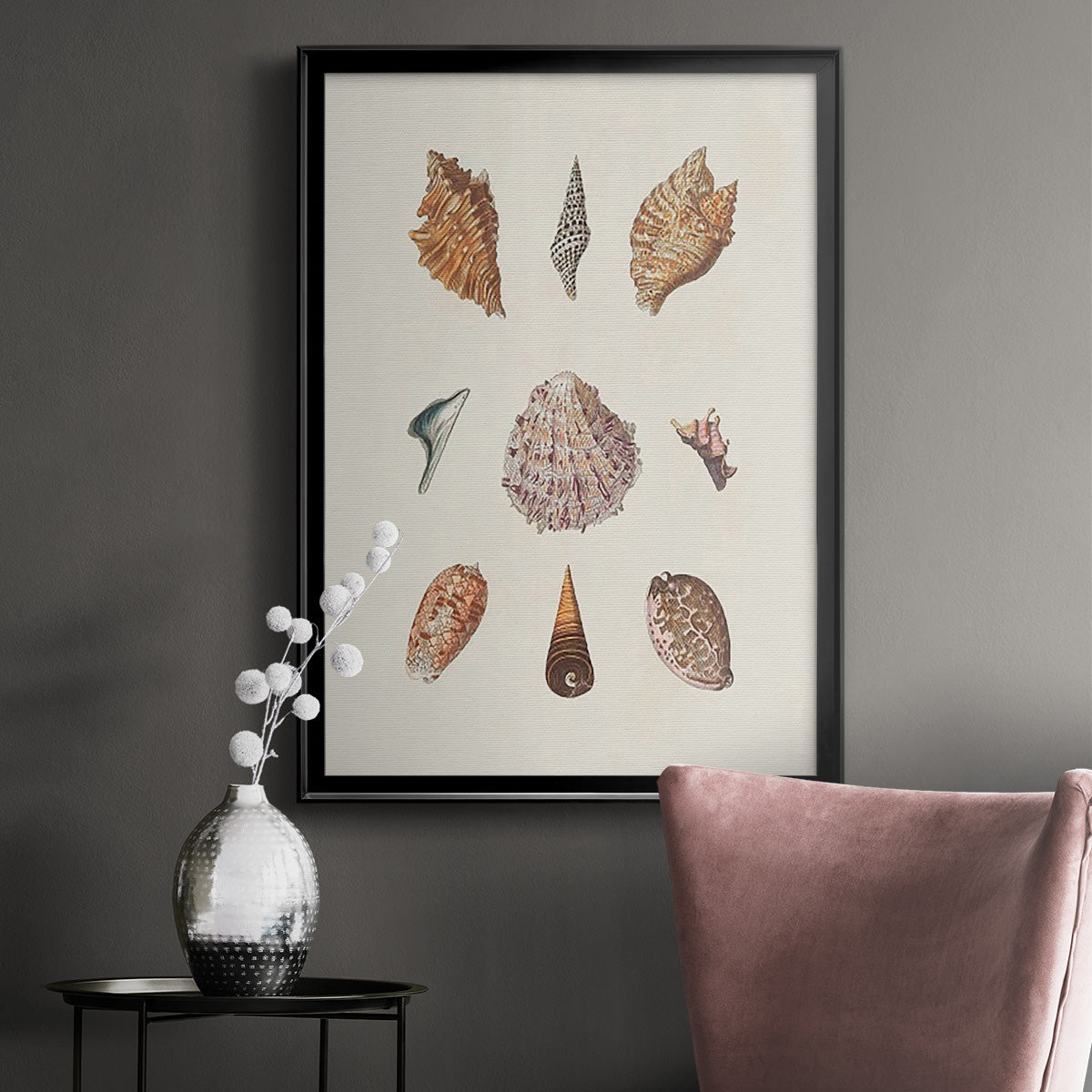 Knorr Shells & Coral VI - Modern Framed Canvas Print
