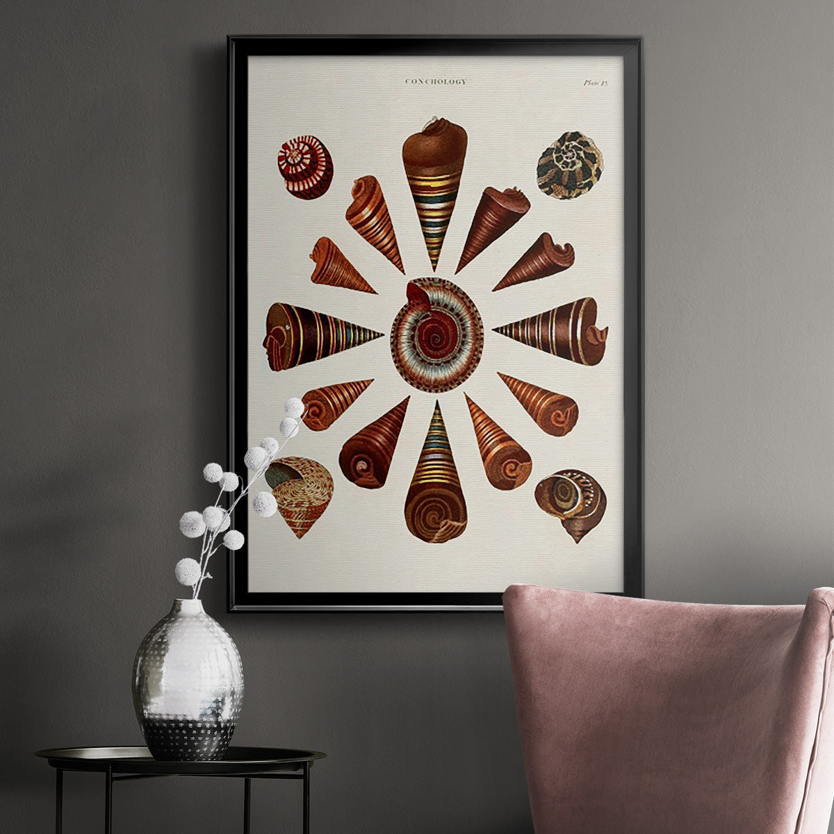 Spiral Shell Formation IV - Modern Framed Canvas Print