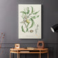 Antique Almond Botanical IV - Canvas Art Print