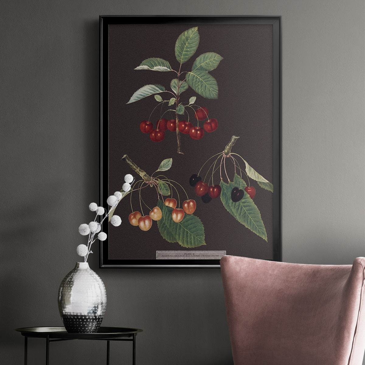 Brookshaw Cherries - Modern Framed Canvas Print