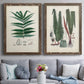 Set of two walnut barnwood framed canvas prints depicting paired natural-history fern plates with varied green fronds, roots, spores, and archival labels above a sofa in a contemporary living room.