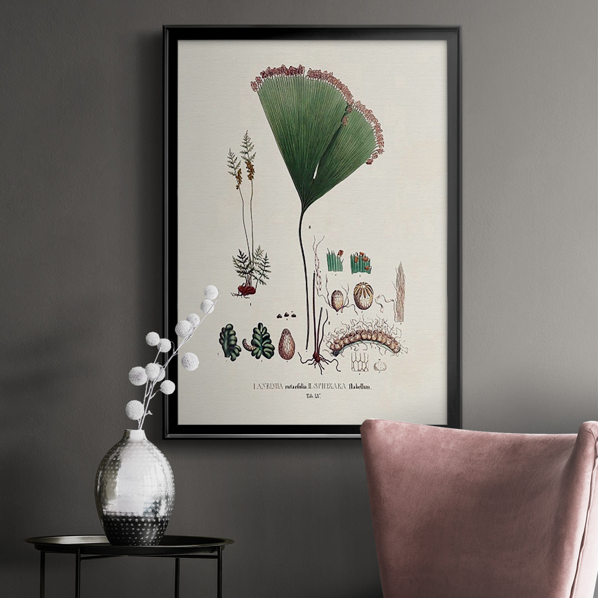 Botanical Society Ferns IX - Modern Framed Canvas Print